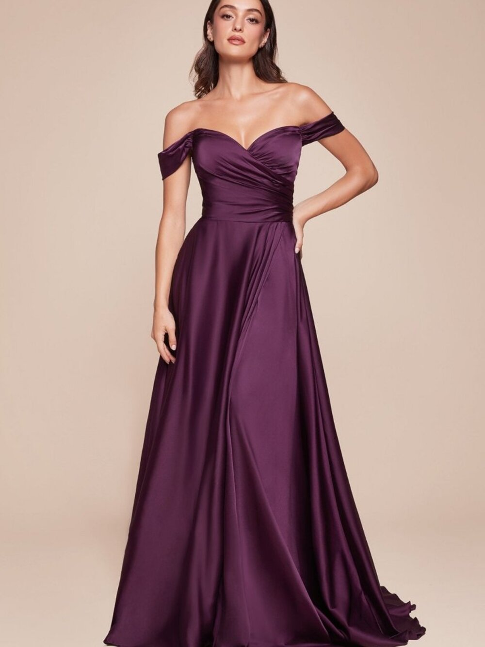NEW EGGPLANT Evening Gown Floor Length Formal Elegant Stunning 7493